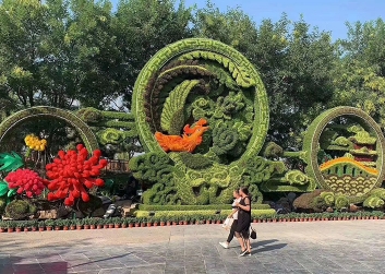 植物雕像