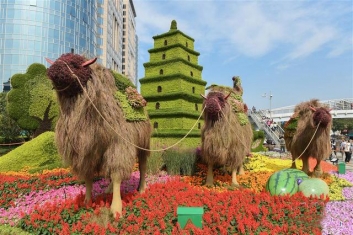 潍坊绿雕、仿真绿雕、五色草雕塑、立体花坛、菊花展布展施工