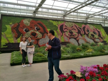 锦州网红立体花坛设计施工