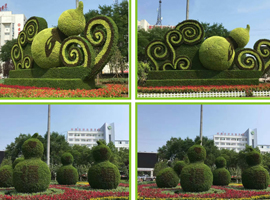 广场植物雕塑