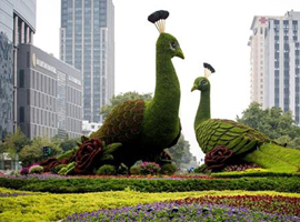 市政园林植物雕塑设计公司