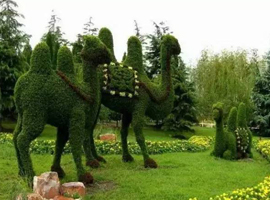 仿真动物植物雕塑骆驼