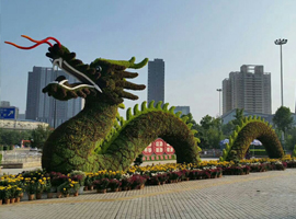 五色草动物植物雕塑