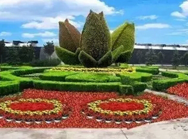植物雕塑施工公司