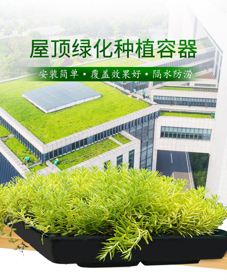 屋顶绿化种植容器佛甲草.jpg