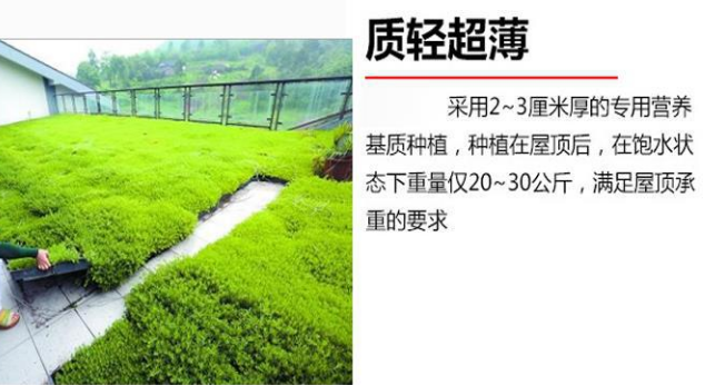 西安容器式佛甲草做屋顶绿化.png